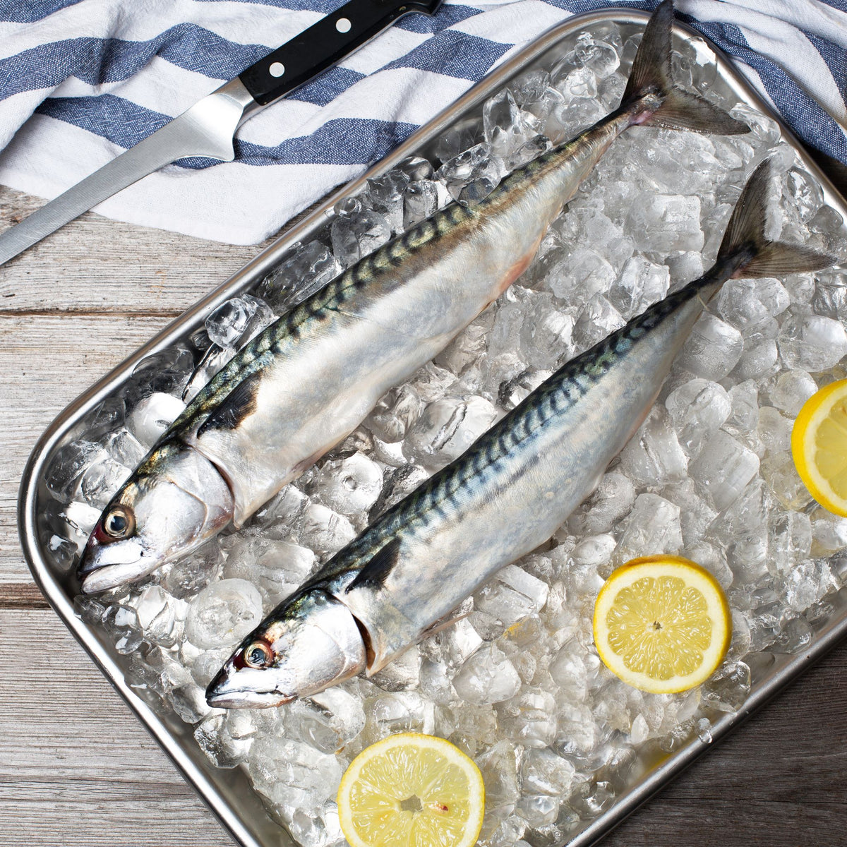 Mackerel Whole Fish Galore