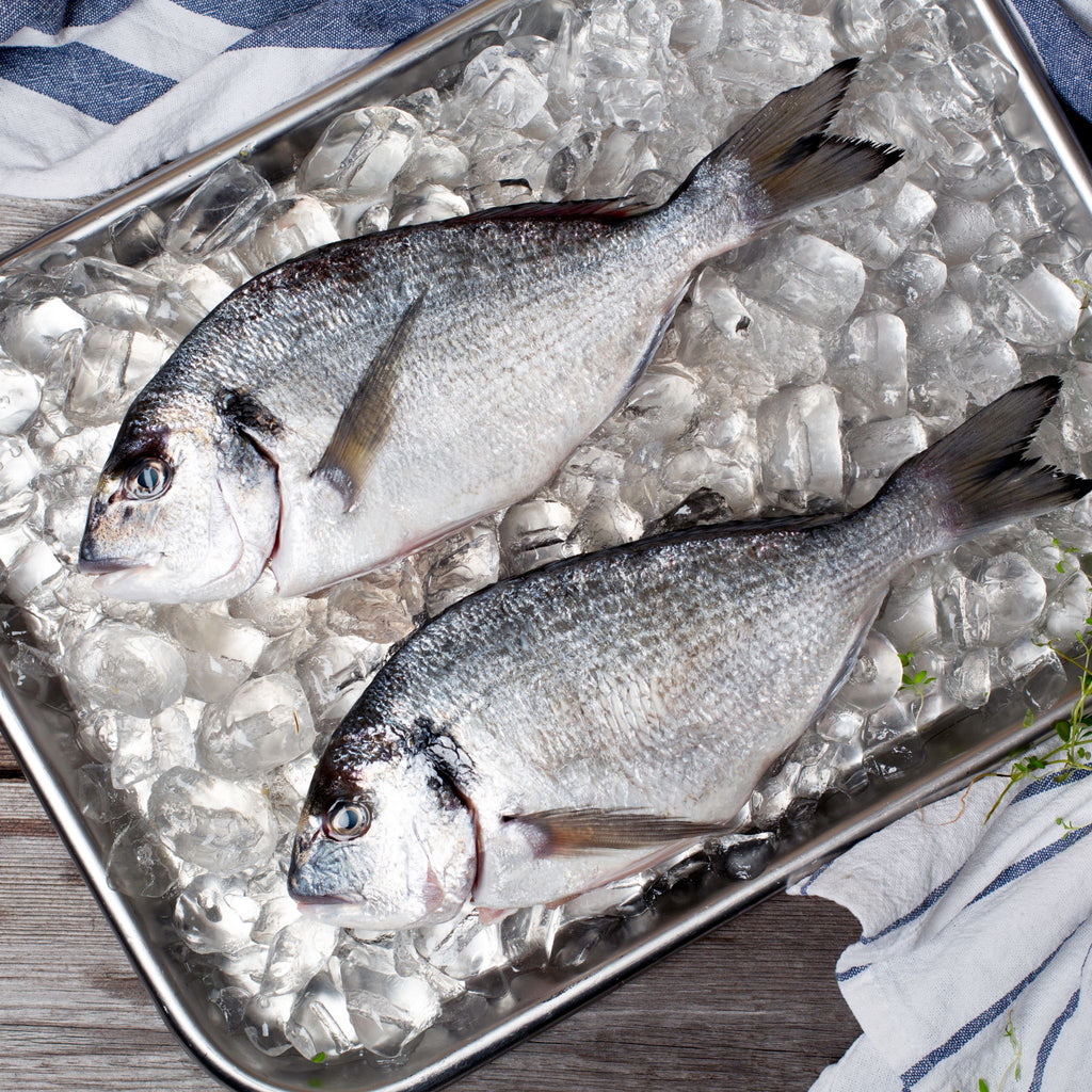 Fish Breamer Products – Fish Galore