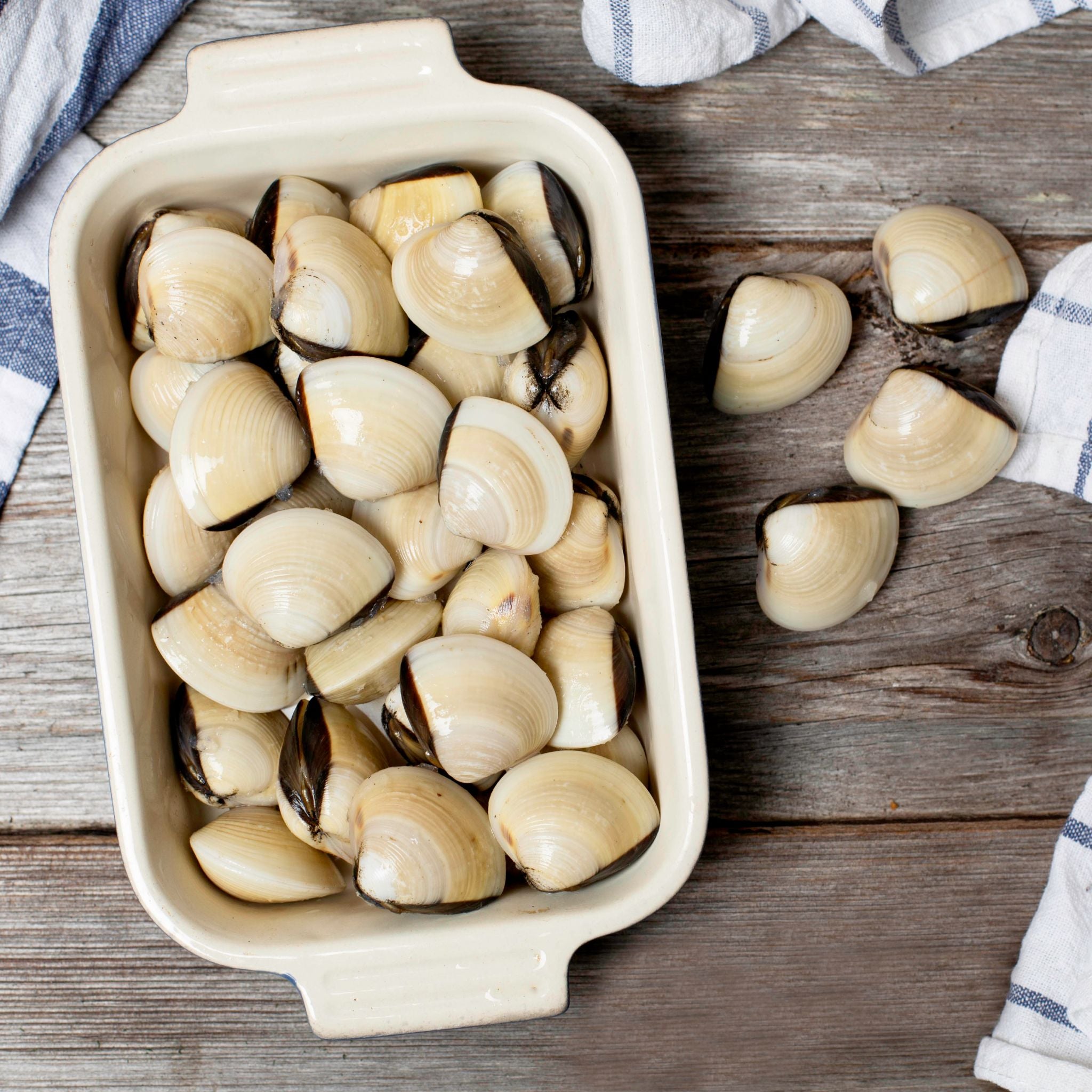 Clam Shell Menu Clams in Shells – Fish Galore