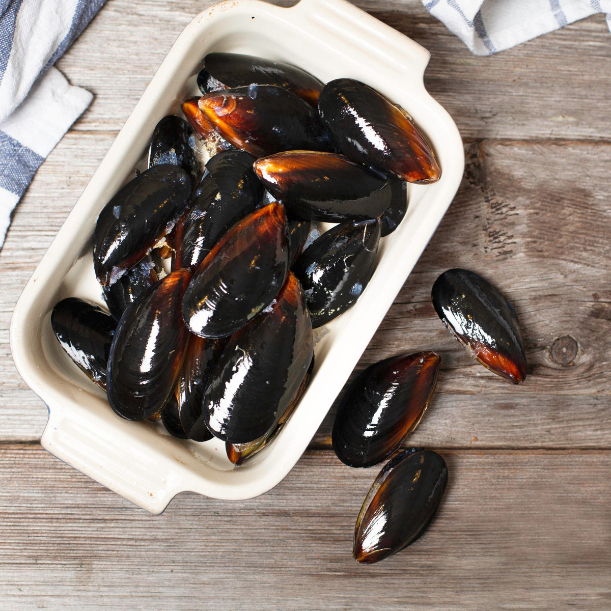 Mussels in Shells – Fish Galore